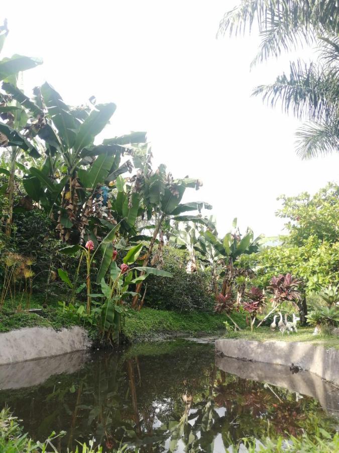 Praga Hotel Campestre อาร์เมเนีย ภายนอก รูปภาพ